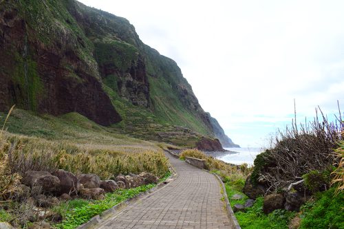 Where Life Began: Madeira